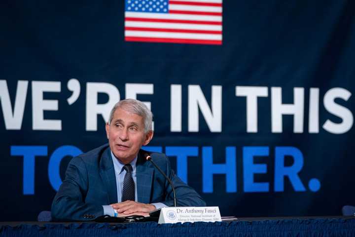 COVID-19: Large Holiday Gatherings Are Not Safe — Even With Booster, Fauci Says