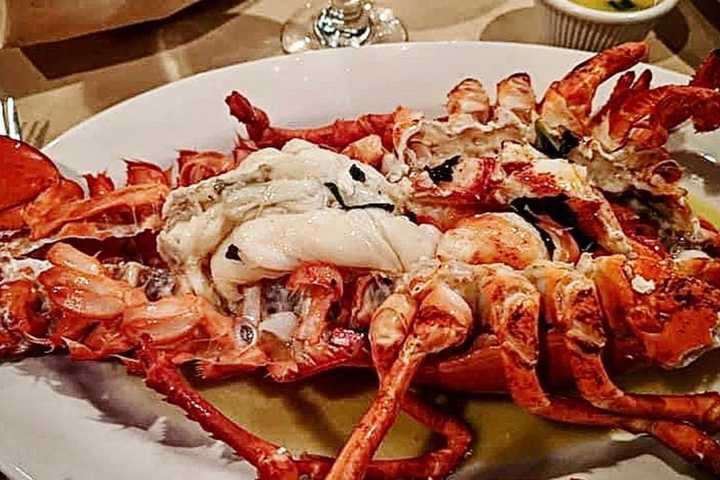 Classic Suffolk Italian Eatery Cited For Tender Lobster, Octopus Dishes