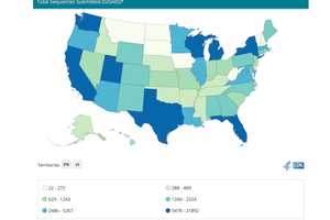 COVID-19: Massachusetts Among Top 10 Hotspots For Virus Variants