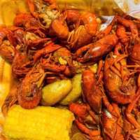 <p>Live crawfish at NOLA Cajun Kitchen in West Boylston</p>