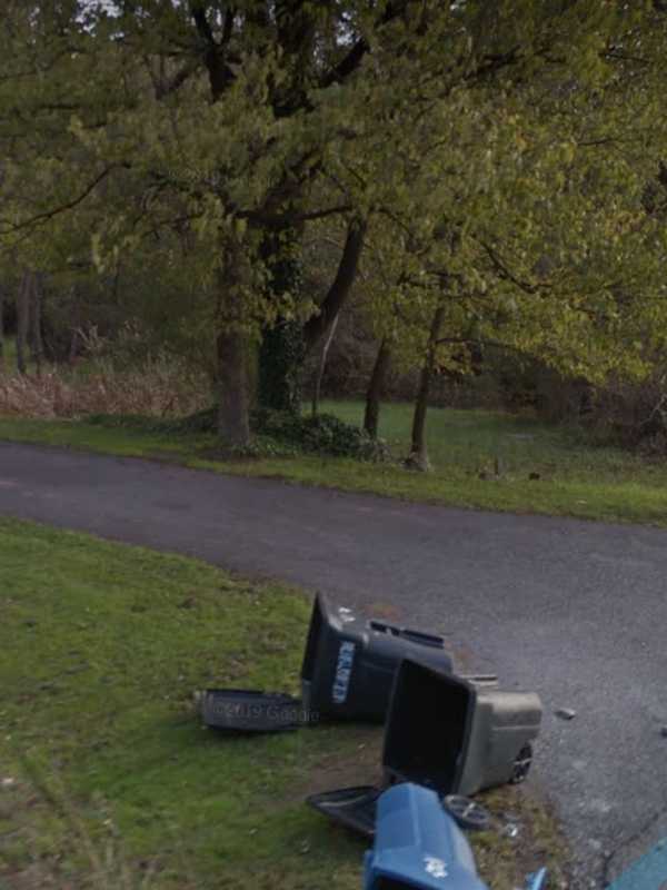 York Coroner Called To Crash Into Tree