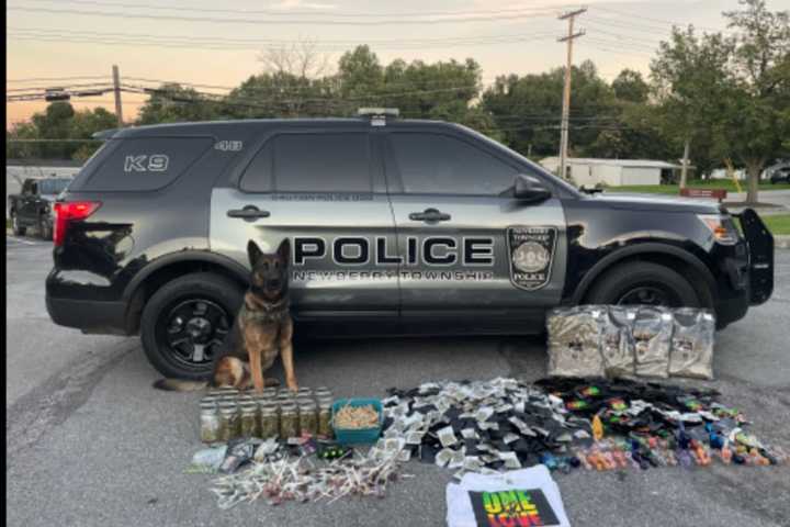 PA Drug Bust Yields 12 Pounds Of Marijuana, 'Ghost Gun,' Police Say