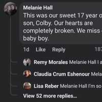 <p>Melanie Hall&#x27;s comment on Daily Voice&#x27;s post on the fiery crash.</p>