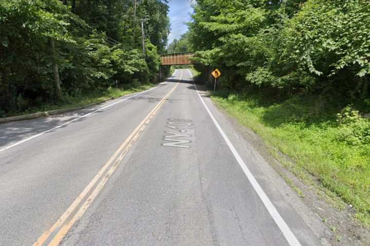 New Bear Sighting Reported In Hudson Valley