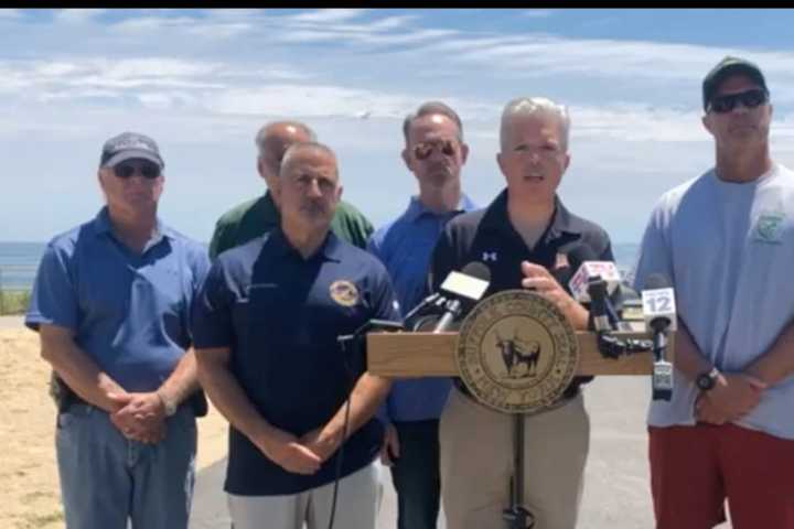 Two NY Beaches Closed After Lifeguard Bitten By Shark