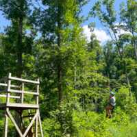 <p>A Girl Scout on a ropes course at Camp Small Valley, posted the day before another camper got stuck upside down.</p>