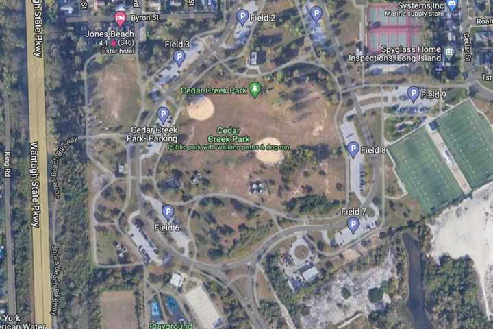 3 Swastikas Found At Seaford Park, Police Say