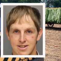 Amish 3-Year-Old Girl Crushed By Horse-Drawn Wagon In Lancaster, Dad Convicted