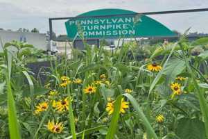 Reading Man ID'd As Pennsylvania Turnpike Crash Victim: Coroner