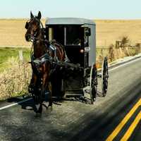 8 Amish People — Including Infant — Hospitalized In Horse-Buggy Crash: PSP