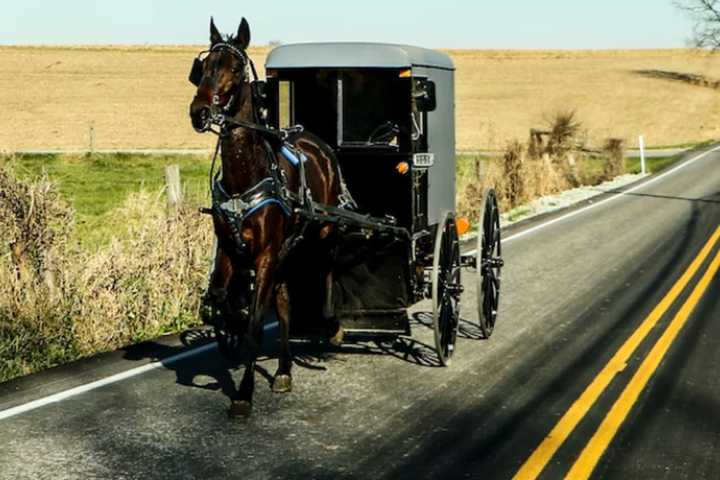 8 Amish People — Including Infant — Hospitalized In Horse-Buggy Crash: PSP