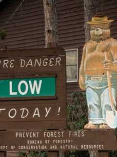 Smokey The Bear Stolen Off State Park Sign In PA