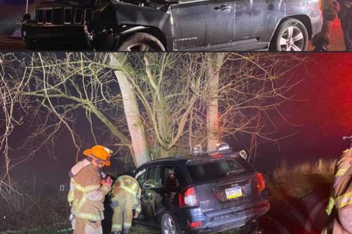 No MedEvac Available In Chambersburg When Person Crashed Into Tree, FD Says