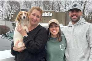 Westport Siblings Reunite Sweet Western Mass Pooch With Original Owner After 2 Years