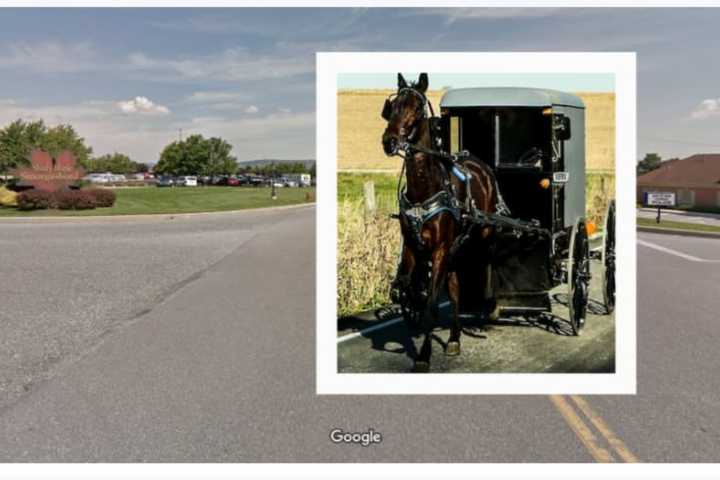 Horse-Buggy Struck By Drunk Woman Across From Police Station In Lancaster County: Authorities