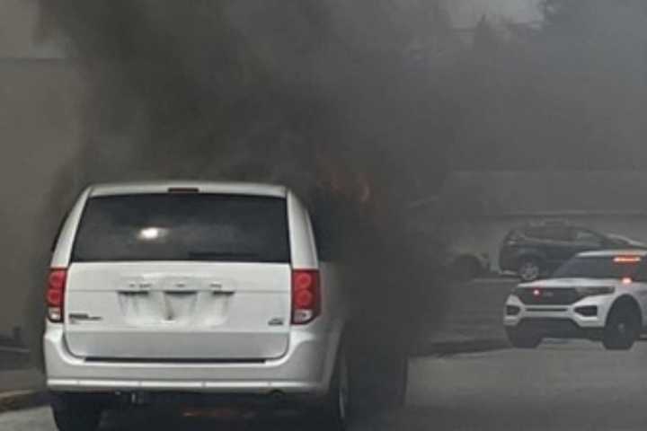 Four Dogs In Van On Fire Driven To Fire Station In New Cumberland, Police Say