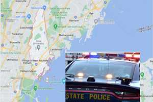 Woman Driving Under Influence Resists Arrest In New Rochelle, Police Say