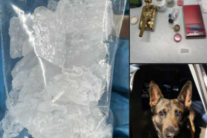 K9 Smelled 14 Grams Of Meth Outside Car In York County, Police Say