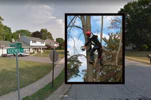 Man Electrocuted In Tree In Central PA, Police Say