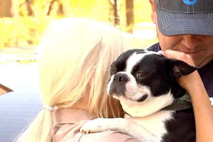 Puppy Reunited With Family Weeks After Being Taken In Prince George's County