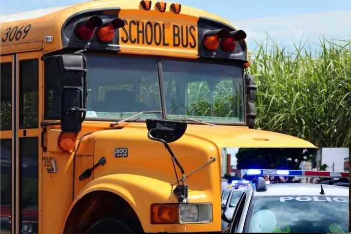 School Bus Driver Charged: Accused Of Slamming On Brakes, Injuring Kids In Region