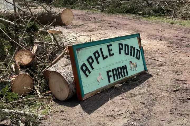 Tornado: Support Pours In For Business In Sullivan County Hit Hard With 'Enormous Damage'