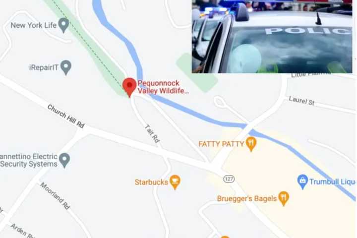 Update: Police Identify Person Found Dead In Wooded Area In CT