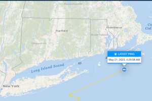 White Shark Tracking East With New Ping Near Martha's Vineyard