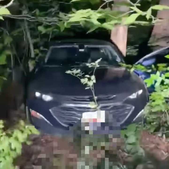 The video shows how far the car traveled into the woods.