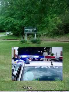 CT Man Kills Mother In Park, Calls 911 To Report Crime