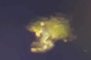 Video Shows Rescue Of Fawn Trapped In Stream By Blairstown Officers, Bystanders