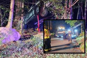 Car Lands ‘Up In The Air On A Tree’ After Veering Into Morris County Woods: PHOTOS