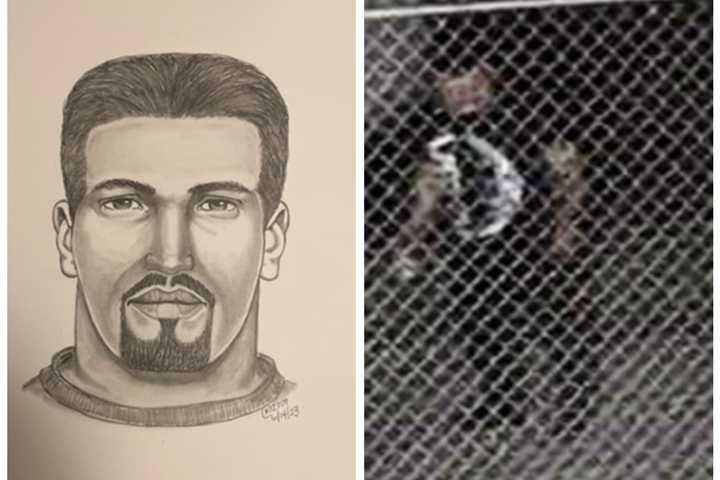 Rapist Dragged Woman To Wooded Area, Stood Over Her As She Called For Help In Falls Church: PD