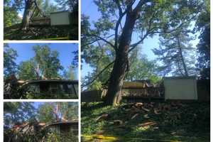 200-Year-Old Tree Brach Crashes Through Montgomery County Home (PHOTOS)