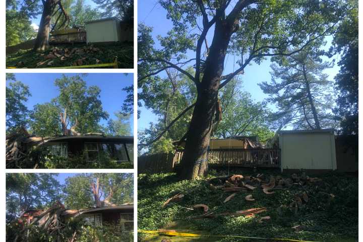 200-Year-Old Tree Brach Crashes Through Montgomery County Home (PHOTOS)