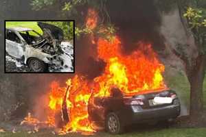 Car Slams Utility Pole, Goes Up In Flames On Hunterdon County Lawn (PHOTOS)