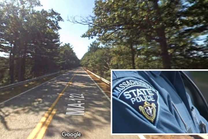 Driver Killed By Falling Tree In Western Mass