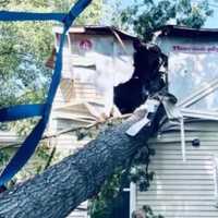 <p>Allan Lee was killed when a tree fell on their home after a tornado-like storm.</p>