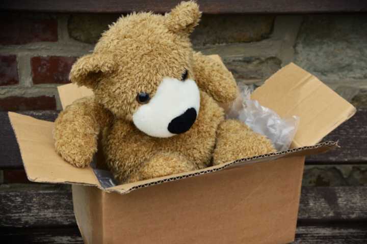 Virginia Man Mails 'Prank' Pipe Bomb Stuffed Animal To Pennsylvania: Police