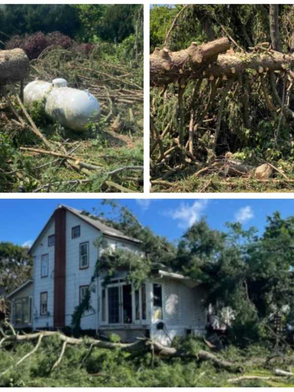 Tornado Throws Tree Onto 84-Year-Old PA Widow's Home, Fund Says