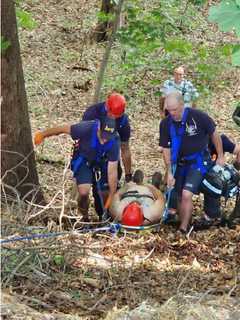 Dutchess County Lawn Mower Accident Leads To Dramatic High-Angle Rescue