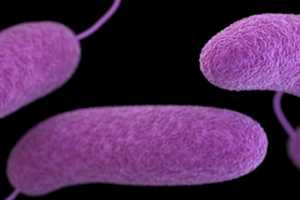 PA Patient Has Deadly Flesh Eating Bacterial Infection, Health Dept. Says