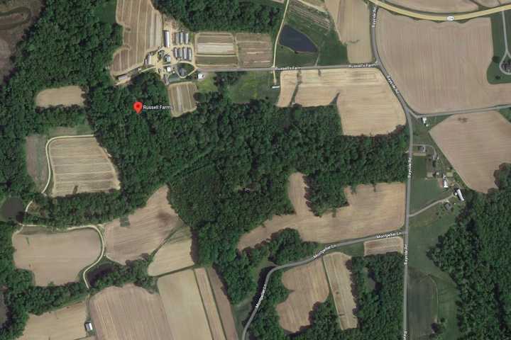 Pilot Forced To Make Emergency Landing In Maryland Cornfield, State Police Say (DEVELOPING)