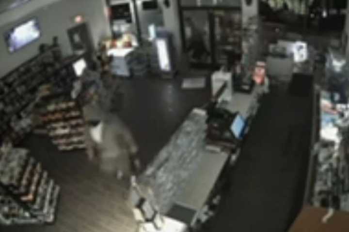 KNOW ANYTHING? Video Shows Burglars Using Sledgehammer To Bust Into Rt. 31 Convenience Store