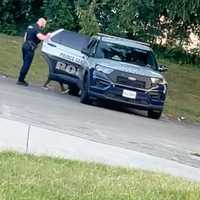 <p>The officer bringing the female to the back of the vehicle.</p>