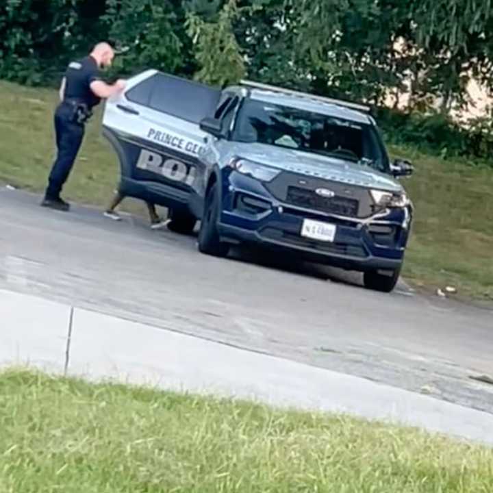 The officer bringing the female to the back of the vehicle.