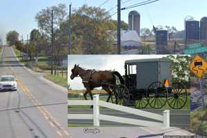 Amish Horse-Buggy Crash Hospitalizes 9 People In Lancaster Co.(DEVELOPING)