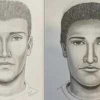 <p>The composite sketch of the wanted robber.</p>