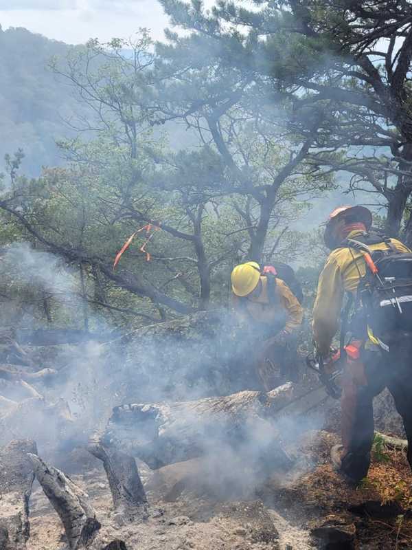 Shenandoah National Park Still Smoldering Days After Lightning Strike In Virginia (PHOTOS)