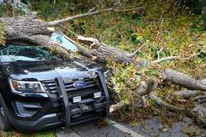 Mass Officer Narrowly Avoids Falling Tree That Crushes His Cruiser